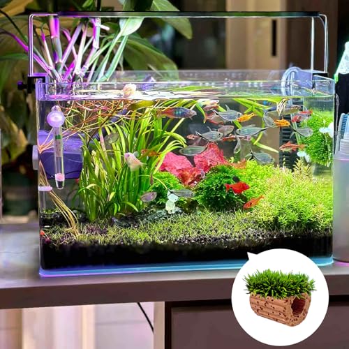 Rainmae 16 Pack New Upgrade Aquarium Plant Weights, Aquatic Water Plant Fixed Rings, Water Plants Cultivation Fixed Ring Plant Pot, Landscape Ceramic Pottery Gravity Ring for Fish Tank Accessories - color: 16 Pcs
