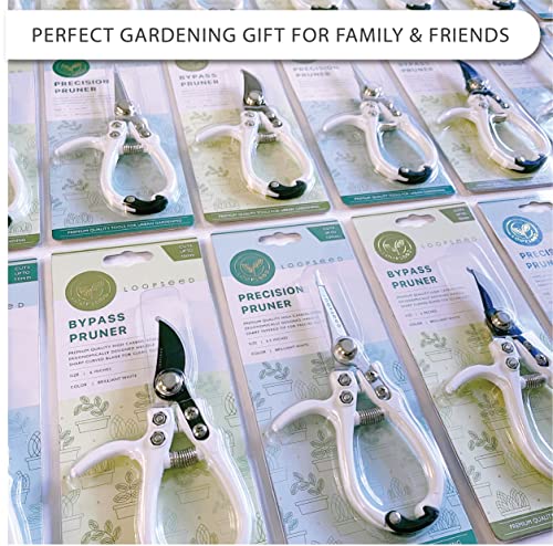 Plant Pruning Shears with Vegan Leather Sheath Garden Trimming Scissors with Belt Holster Bonsai Trimmers Herb Snips Flower Clippers Modern Tools 2 Piece Bundle (Cream Pruner Beige Sheath) - color: Cream & Beige