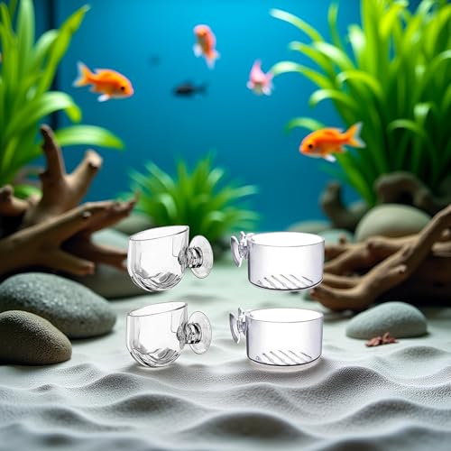 4Pcs Transparent Acrylic Aquatic Plant Cups with Suction - Aquarium Decoration 2 Shapes for Fish Tank Ornament