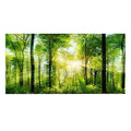 Dioche 3D Effect Forest Terrarium Background, Adhesive Forest Poster for Aquarium Fish Decoration, Foggy Rainforest Aquarium Background, PVC Background (122 * 50cm)