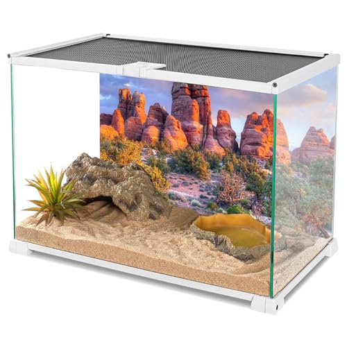 YongFoto Reptile Tank Terrarium Background 24x16 inch Desert Rocky Bush Thorns Western Wilderness Reptile Habitat Background Bearded Dragon Fish Tank Aquarium Polyester Backdrop - color: Orange-3, size: 24 x 16 in