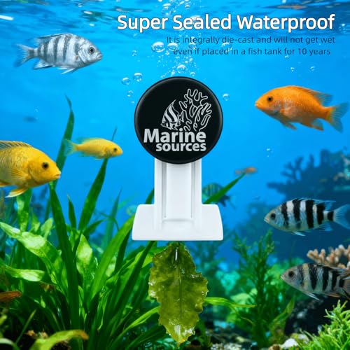 Magnetic Seaweed Feeding Clip for Saltwater Aquarium, Automatic Fish Feeder with Algae Magnet Clip, Glass Tank Accessory for Aquatic Pets, Up to 15mm Glass Thickness - color: Black-1Pcs
