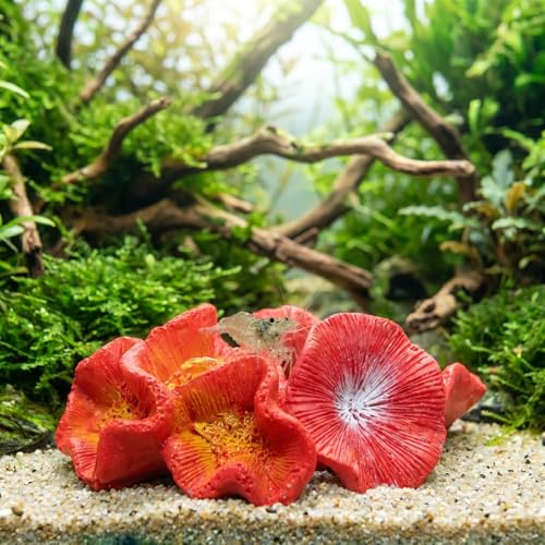 INOOMP 2Pcs Artificial Coral Aquarium Decoration Resin Fish Shrimp Habitat Cave Fish Tank Ornament Non Toxic Realistic Fake Coral Landscape for Freshwater and Saltwater Tanks