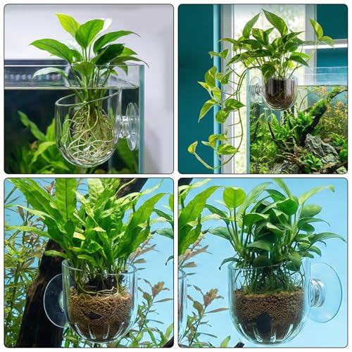 6 Pcs Aquarium Plant Holder, Suction Cup Fish Tank Plant, Clear Shower Aquatic Plant Pots