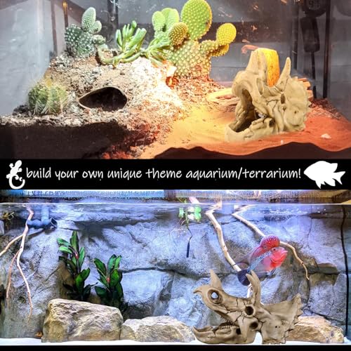 Fish Hideout Cave Dinosaur Animal Skull Reptile Ornament Halloween Décor for Terrarium Aquarium Large Decorations Betta Tarantula Snake Decor Bones - color: Triceratops