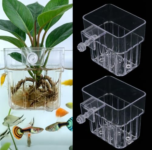 2 PCS Aquarium Plant Holder Top Hanging Fish Tank Live Plants, Betta Fish Tank Accessories Hydroponics Includes Java Moss, Monte Carlo, Frogbit, Duckweed & Weights