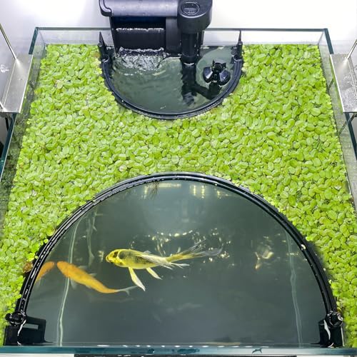 Floating Plant Corral for Aquarium, Fish Tank Accessories to Protects Duckweed from Filters, Automatically Adjusts Height According to Water Level, Suitable for All Duckweed and all aquariums(Style 2) - size: Style 2