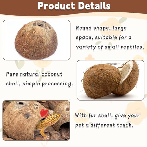Natural Coconut Reptile Hideouts Lizard, Coco Hut Hermit Crab Hut Aquarium Fish Hide Cave for Small Reptile Crested Gecko Leopard Gecko Spider Snail Climber Toys (4 PCS Natural Surface)