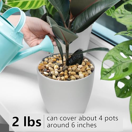 YISZM 2LB Succulent and Cactus Gravel Pebbles, 3/8 Inch Decorative Polished Stones, River Rocks for Plants, Vases, Aquariums, Terrarium and Outdoor Gardening, Natural - color: Natural, size: 2 Pounds