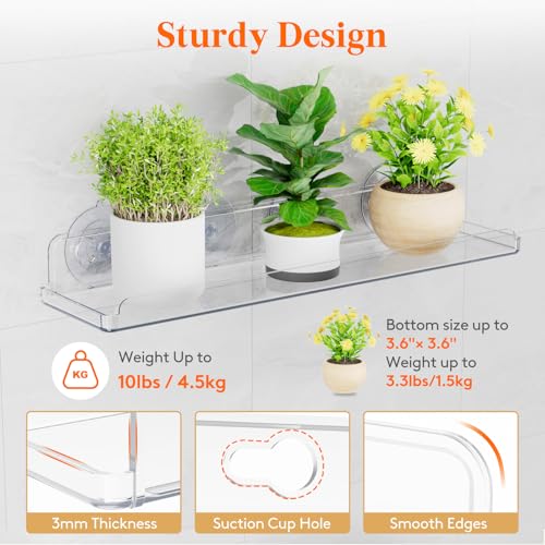 Lifewit Window Plant Floating Shelves 14.6x3.6, 2 Pack Acrylic Suction Cup Shelf, Window Sill Extender for Indoor Succulent Plants, Micro Greens, Seed Starter Pots, Herb Planters 37 x 9 cm/14.6x3.6