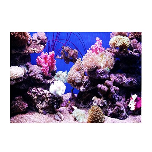 GLOGLOW Aquarium Background Sticker, 3D Effect Seaworld Landscape Image PVC Sticker Sided Adhesive Wallpaper Background Poster Aquarium Wall Decorations(61x41cm) Backgrounds - size: 61x41cm