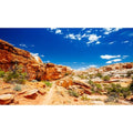 Desert Reptile Tank Background Blue Sky Rock Boulders Terrarium Background Desert Landscape Reptile Terrarium Background Rocky Bush Reptile Habitat Background Bearded Dragon Tank Background 24x12in - color: Blue, size: 24(W)x12(H)inches/ 60(W)*30cm(H)