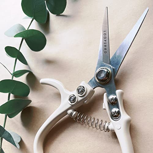 Plant Pruning Shears with Vegan Leather Sheath Garden Trimming Scissors with Belt Holster Bonsai Trimmers Herb Snips Flower Clippers Modern Tools 2 Piece Bundle (Cream Pruner Beige Sheath) - color: Cream & Beige