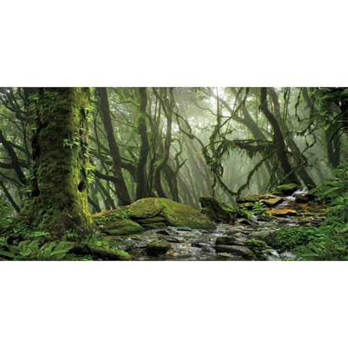 AWERT Foggy Forest Terrarium Background Stream Green Huge Tree Reptile Habitat Background Tropical Rainforest Aquarium Background 36x18 inches Durable Polyester Background - size: 36x18in/90x45cm