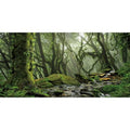 AWERT Foggy Forest Terrarium Background Stream Green Huge Tree Reptile Habitat Tropical Rainforest Aquarium 24x16 inches, 24x16in 60x40cm - size: 24x16in/60x40cm