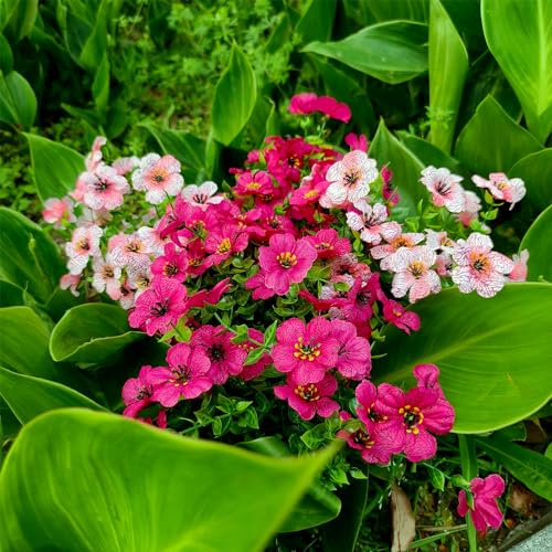 28 Bundles Artificial Plants & Flowers Silk Fake Flowers UV Resistant Bushes Plastic Artificial Flowers Faux Outdoor Indoor Plants for Spring Summer Patio Decorations(7 Colors)