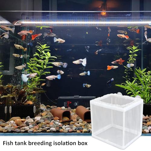 Breeding Isolation Box – White Nylon Net Chamber, Fry Hatchery with Suction Cups, Compact Tank Divider | Practical Setup for Aquatic Offering Safe Separation Protection Inside Aquarium Spaces - size: Small