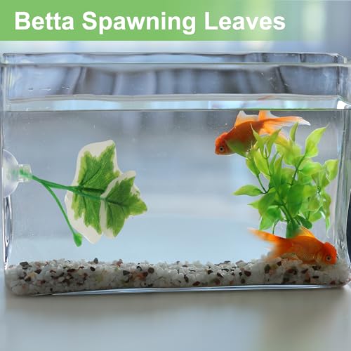 Betta Fish Leaf, Natural Habitat Simulation for Betta Spawnings Grounds, Betta Spawnings Leaves, Resting Bed, Large Small Leaves, White Green