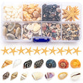 Premium Tiny Seashell Mix, Including Sea Shells, Sea Snails and Starfish total 300+PCS (8 Kinds), Shells for Crafts Decorating Resin and Mosaics Projects DIY Crafts Home Decor Beach Themed Party