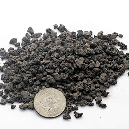 TOYPOPOR Black Horticultural Lava Rock Soil Additive for Cacti Succulents Plants No Dyes or Chemicals 100% Pure Volcanic Rock 2.2LB Top Dressing - color: Black Horticultural Lava Rock, size: 2.2 lb