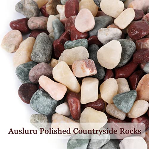11lbs Natural River Rocks, Polished Pebbles for Plants Garden, 0.3-0.8 inch Decorative Countryside Stones, Ideal for Fish Tank, Vases, Home Decor and Garden Landscaping,Countryside - size: 11 Pounds, style: Countryside