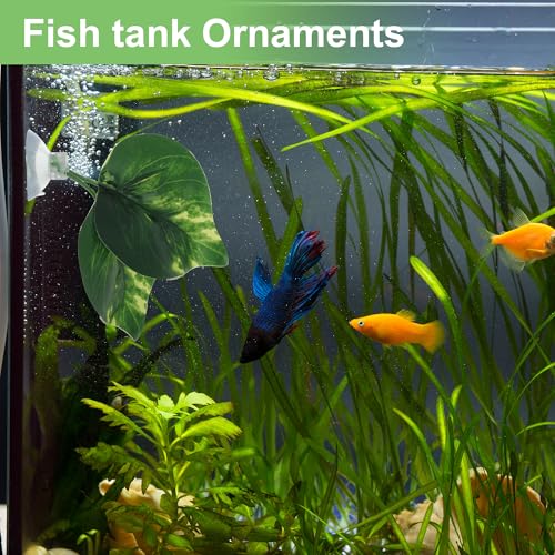Betta Fish Leaf, Natural Habitat Simulation for Betta Spawnings Grounds, Betta Spawnings Leaves, Resting Bed, Double Leaves, Dark Green
