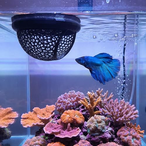 Betta Hammock Betta Fish Bed Floating Bettas Hide & Shrimp Cave, Aquarium Hiding Feeding Decorative Accessories, Safe Resting Spot for Betta-Fish, Shrimp and Small Fish (Black, 2 PCS)