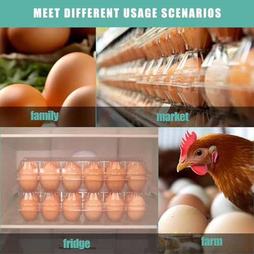 SINLUCESCE 60 Packs 12 Count Clear Egg Cartons, 2 * 6 Grids Design, Perfect for Family, Farm, Markets, Display(Large) - size: 2x6, L