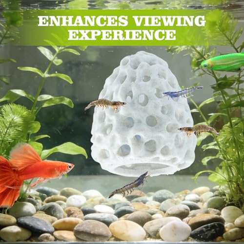 Shrimp Dome Hide, Shrimp Hides for Aquarium, Betta Fish Hideout with Suction Cup, Betta Habitat Tank Ornament Accessories, Aquarium Decor for Small Fish Guppy Hiding Resting (White) - color: White