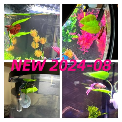 DODO Aqua Betta Fish Leaf Soft Bed Simulating The Natural Habitat for Betta Spawning Grounds Breeding Resting Bed Plastic Suction Cup (1pcs) - size: 1pcs