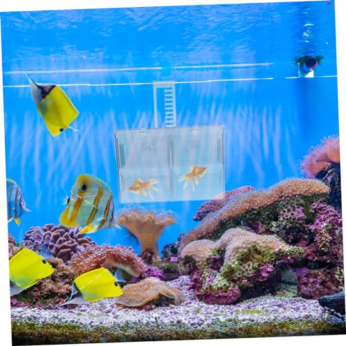 Levemolo Hanging Fish Breeding Box Isolation for Aquariums Suction Cup Design for Easy Installation Nursery for Fry Fish Wear Resistant