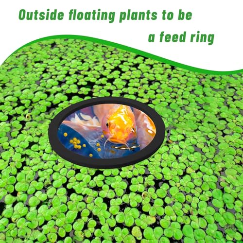 Aquarium Floating Plant Corral 5/10Pcs Floating Plant Holder Fish Feeding Rings for Fishtanks 80-200mm Pet Supplies - size: Black-D