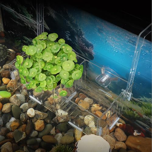 Aquarium Plant Holder - Transparent Double Hook Hydroponic Planter | Adjustable Acrylic Pots in Single Double Three Grid Sizes, for Underwater Vine Moss Decoration Corner Shelf Aquarium Setup