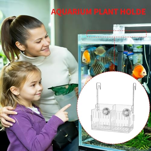 Transparent Aquarium Plant Hanging Rack - Acrylic Top-Mounted Plant Holder | Height Adjustable Double-Hook Hydroponic Planter | for Fish Tank Flower Pot, Aquarium Decorative Accessories - size: Double grid