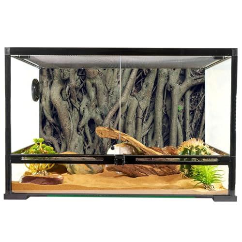 YongFoto Reptile Terrarium Background 30x18 inch Reptile Tank Background Vintage Old Tree Roots Green Grass Moss Bark Reptile Habitat Background Bearded Dragon Fish Tank Aquarium Background Backdrop - color: Grey, size: 30x18in/75x45cm