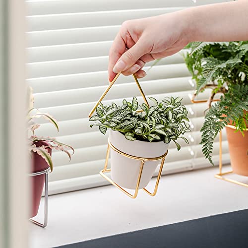 Yishang 2.5 inch White Terracotta Pots with Drainage Holes,Small Mini Clay Ceramic Pottery Planter,Cactus Flower Terra Cotta Pots,Succulents Nursery Pots for Indoor/Outdoor Plants,Crafts-12 Pack - color: White