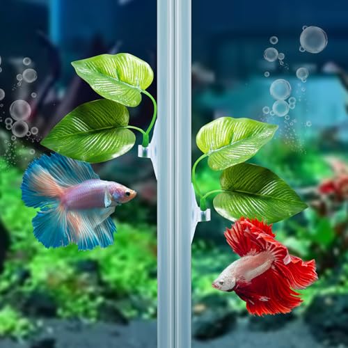 CousDUoBe 2 Pack Betta Fish Leaf Pad Improves Betta's Health by Simulating The Natural Habitat - Natural, Organic, Comfortable Rest Area for Fish Aquarium Ornaments - size: 2 Pack