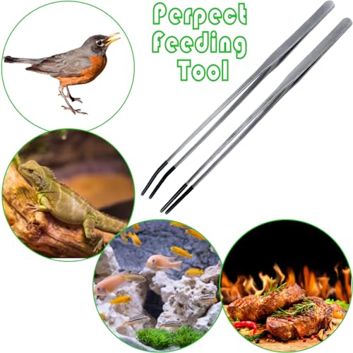 2Pcs Reptile Feeding Tong with Rubber Tip Aquarium Tweezers Stainless Steel Straight Curved Feeding Tong Long Handle Terrarium Feeder Tool for Tank Lizards Bearded Dragon Spider Snake - size: 10Inch