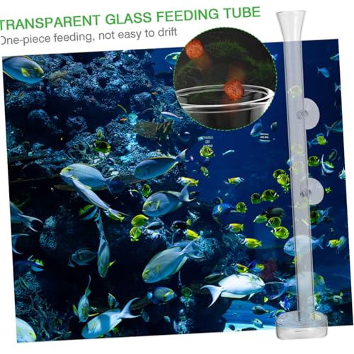 DOITOOL Shrimp Feeder Tube with Feeding Dish, Crystal Glass Aquarium Feeder, 30cm Fish Tank Accessory for Aquarium Shrimp Feeding