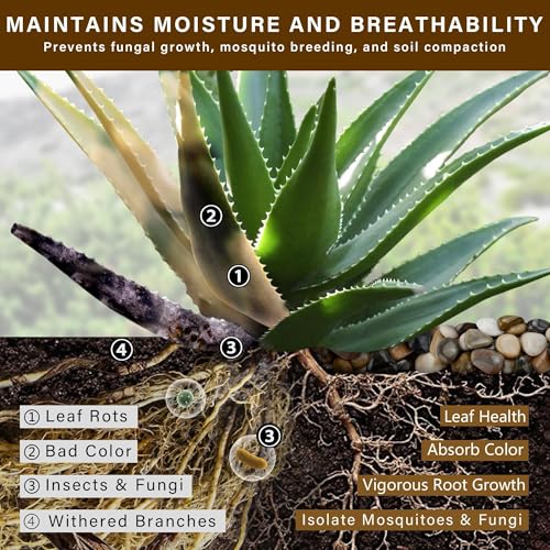 16lb Mix River Rocks for Outdoor Landscaping, 1-2 Inch Pebbles for Indoor Plants, Natural Polished Aquarium Gravel, Decorative Rocks for Succulent, Garden, Vases Fillers, Bird Baths - color: Mixed, size: 1-2"-16lb