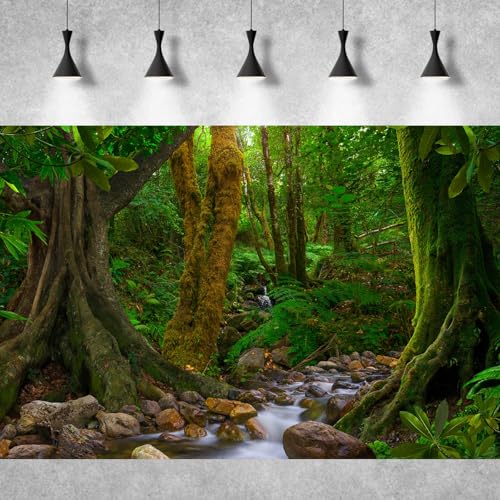 Forest Aquarium Background Jungle Rainforest Stream Fish Tank Background Lush Green Trees with Moss Terrarium Background Forest Stream Rock Theme Reptile Habitat Background Poster Vinyl 24x12in - color: Moss Green, size: 24(W)x12(H)in