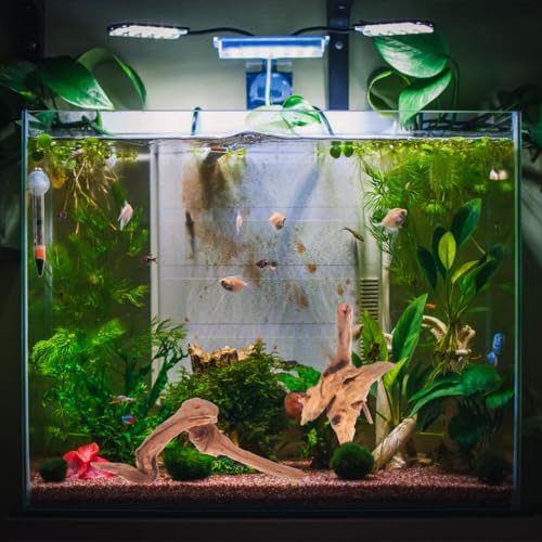 Toddmomy Aquarium Driftwood 4Pc Set 7.48In Natural Fish Tank Wood Decor for Freshwater Aquascaping Betta Fish Hiding Spots and Aquarium Hideouts