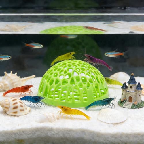 2-Pack Green Shrimp Hideouts – Hollow Half-Sphere Aquarium Caves for Shrimp, Betta Fish & Nano Tanks | Decorative Shelter for Breeding and Molting - color: Green