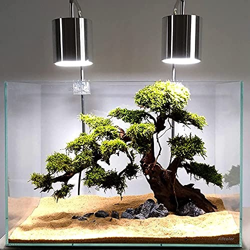 Allcolor Artisan Grade Ultra Clear Rimless Aquarium Tank, Low Iron Glass Fish Tank for Professional Aquascaping and Planted Layouts, 6-60 Gallons (10GaI - Top Glass Canopy) - size: 10Gal 18.8"L×11"W×11.8"H