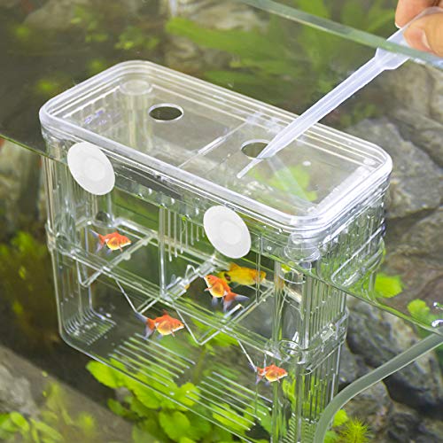 Senzeal Aquarium Fish Breeder Box Plastic Fish Isolation Breeding Box Hatching Incubator for Baby Shrimp Clownfish Guppy - size: Large