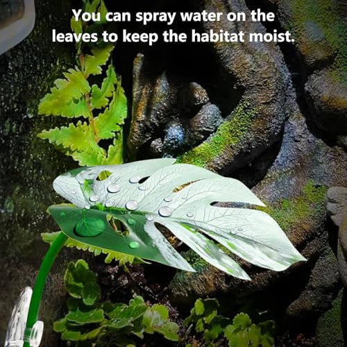 BNOSDM 6 Pcs Crested Gecko Tank Accessories Frog Habitat Platform with Suction Cups Amphibian Plastic Leaf Decoration Reptile Basking Resting Spot for Turtles Lizards (White)