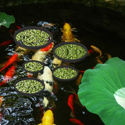 PEUTIER 5pcs Aquarium Floating Plant Rings, Foam Floating Plant Corral Fish Feeding Rings Fish Tank Food Ring for Keeping Floating Plants in Place (Black)