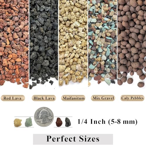 FANTIAN 2 lbs Small Black Lava Rocks for Plants,1/4 Inch Crush Volcanic Rock Pumice Soil Additive for Succulent Aquarium Cactus Bonsai Fire Pits and Garden Landscaping - color: Black Lava Rocks