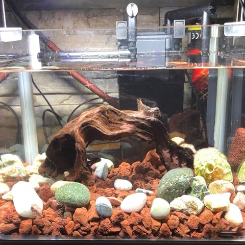 10 Pack Aquarium Red Lava Rock Fish Tank Volcanic Pumice Stones for Shrimp Betta(1.18''-1.96'') - color: Red, size: M:1''-2''