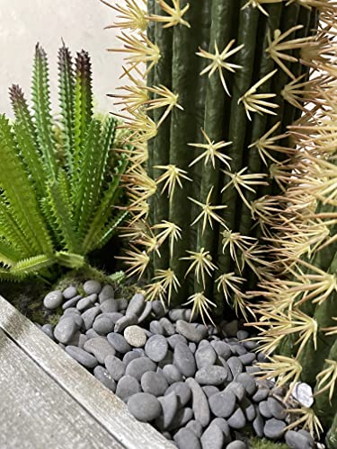 Black Rock, CJGQ 18lb River Rocks Pebbles for Plants Succulents, Decorative Outdoor Landscaping Garden Rocks, Natural Small Mexican Beach Pebbles Aquarium Rocks Gravel for Fish Tanks Vase Yard Decor - color: Black-Medium, size: 18lb